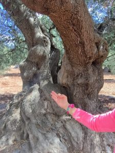 Mamma Guru: Abbracciare gli Alberi ed i suoi molteplici benefici