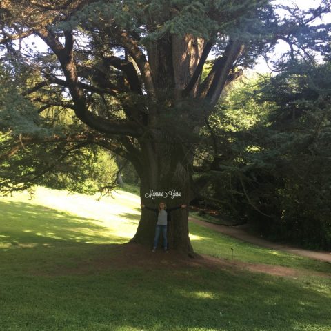 Mamma Guru: Abbracciare gli alberi fa bene