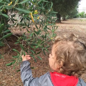 L'istinto materno è infallibile