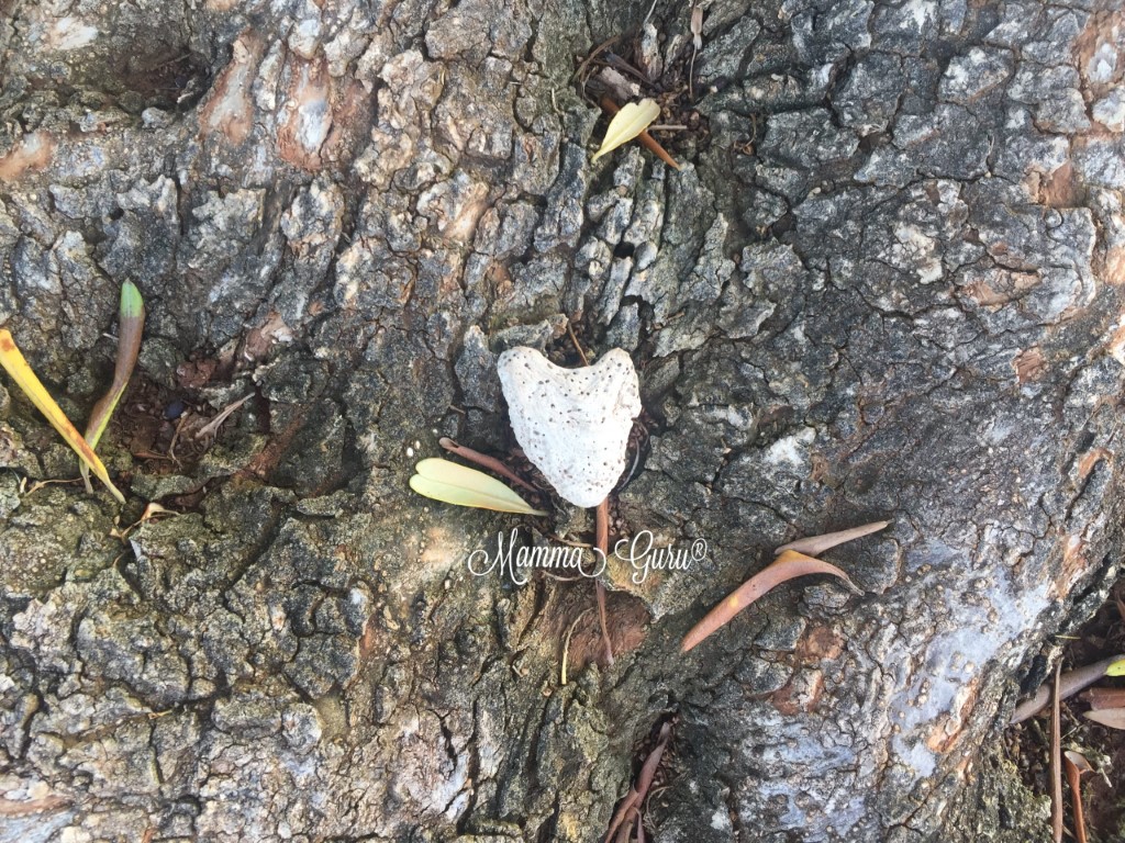 Madre Terra sa sempre come farmi sentir bene...