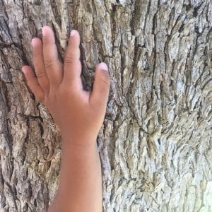 Natura e Bambini: una Maestra di Vita preziosa