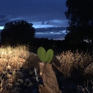 Natura e Bambini: una Maestra di Vita preziosa