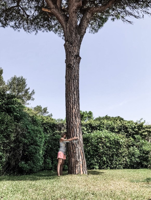 Tree Hugging