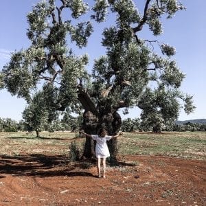 Puglia Terra Madre