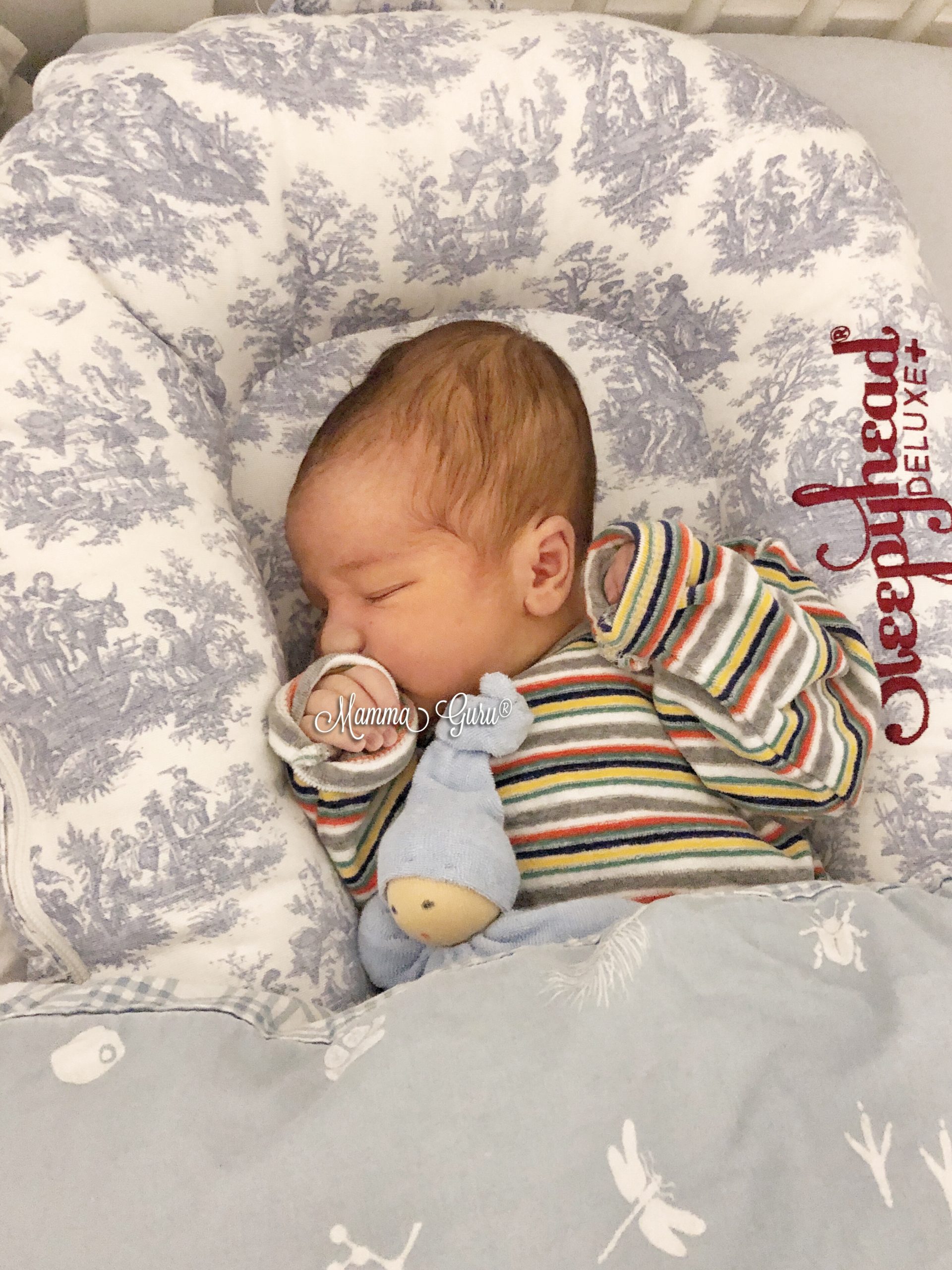 Riduttore Co-Sleeping Sleepyhead