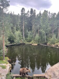 Bjørneparken
